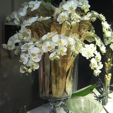 ホテル Paganella, Tradition In Hospitality ファーイ・デッラ・パガネッラ